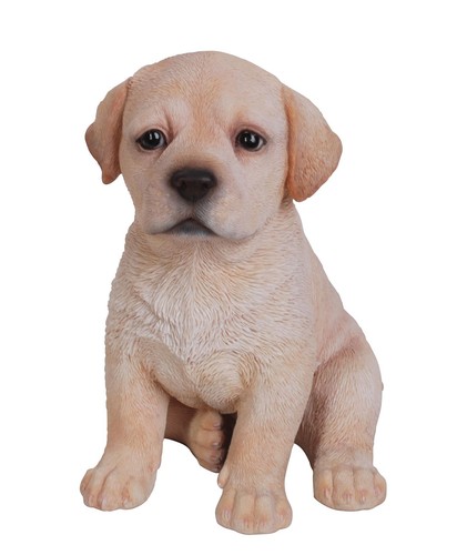 Labrador puppy dog lifelike - labrador,