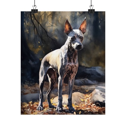 American hairless dog art - american,