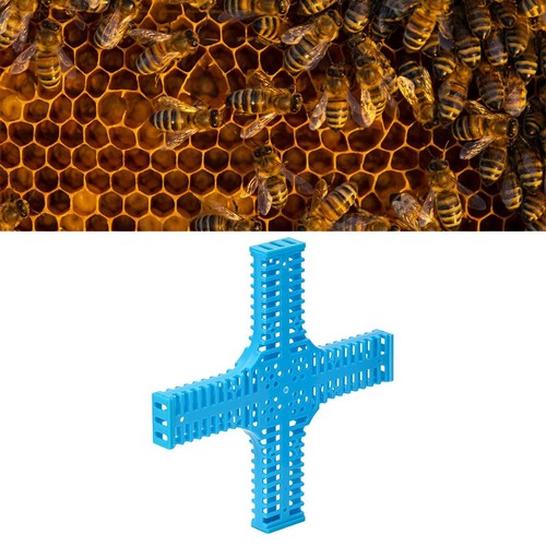 Bee transport rearing cages - bee,