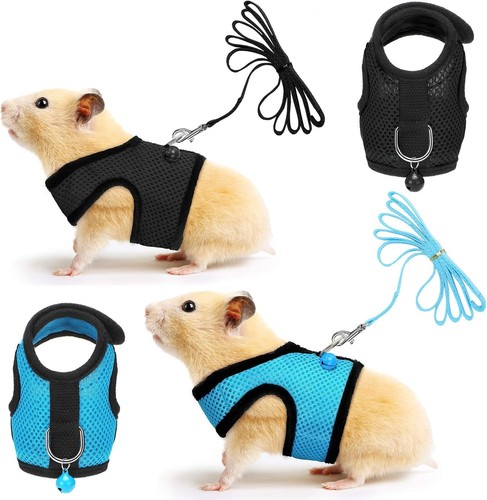 Sets guinea pig harness - harness, and