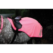 SHIRES EQUI-FLECTOR