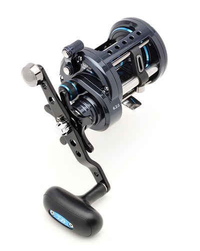 Daiwa saltist level wind reel - daiwa,