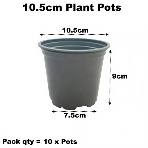 5cm plant pots grey - pots, 4"