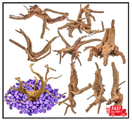Pack natural driftwood for - natural,