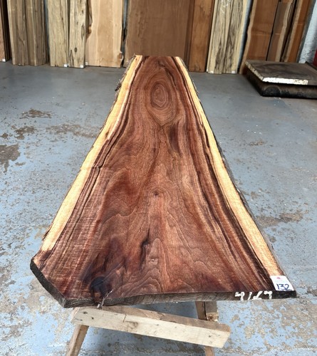 American walnut - american,