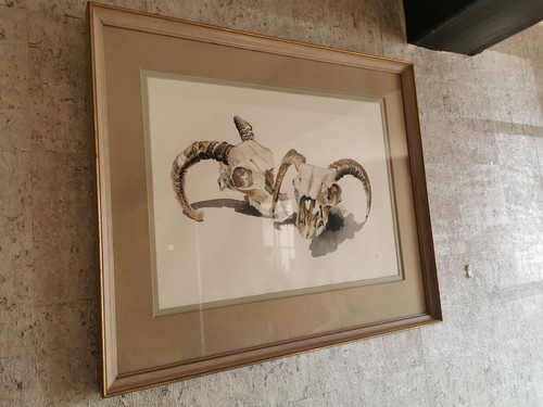 Vintage watercolour painting - watercolour,