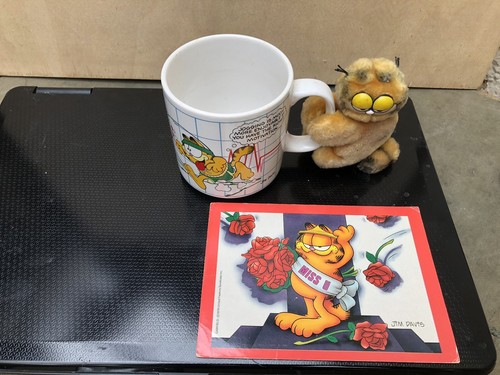 Garfield mug and - , toy