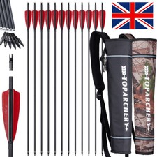 12pcs Archery Carbon 30"