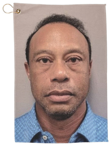 Tiger woods mugshot - tiger,
