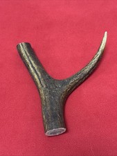 ONE PIECE OF DEER ANTLER, Y