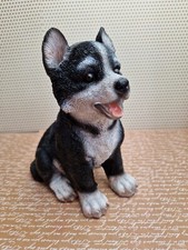 Siberian Husky Pup, Cute