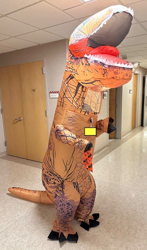 Rex dinosaur inflatable - dinosaur,