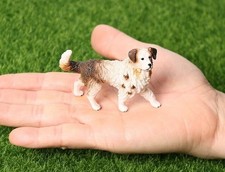 Australian Shepherd Dog Animal