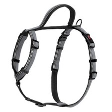 Halti Walking Harness, Premium