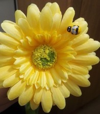 Single yellow bee - bee, gerbera