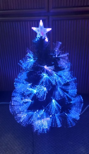 Small tree with - small,