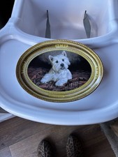 Set 5 White Highland Terrier