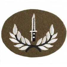 Infantry Soldier Badge, Class