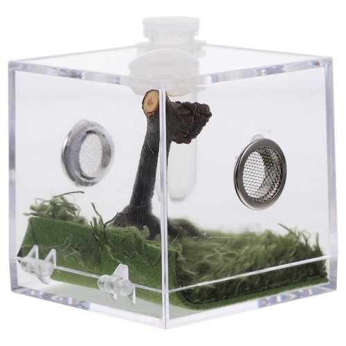 Set insect breeding box - of,