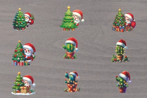 Mixed christmas cactus - mixed,
