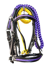 Premium Bridle set