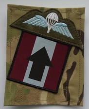 British Army Parachute Regiment Pathfinder MTP/Blanking Panel & Para Wings