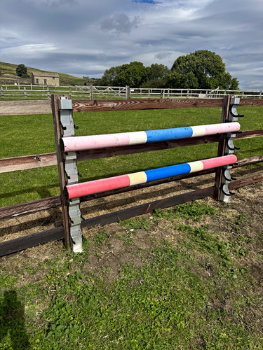Horse show jump - show, pole