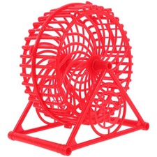 Hedgehogs running wheel - hedgehogs,