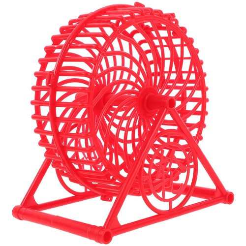 Hedgehogs running wheel - hedgehogs,