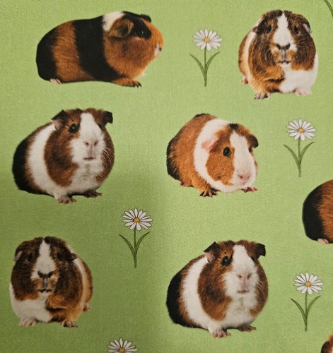 Guinea pig fabric remnant - pig, /