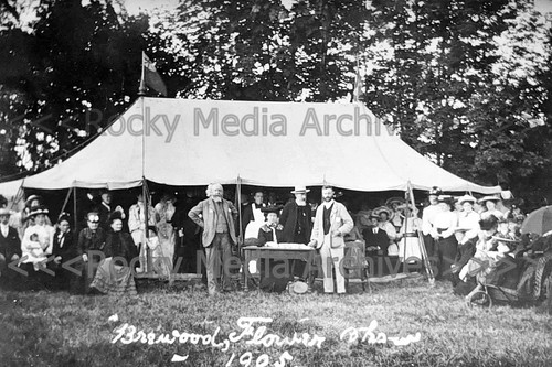 Bcs brewood flower show - bcs-63,