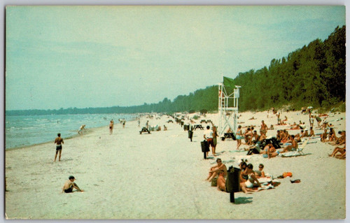 Postcard outlet beach picton - outlet,