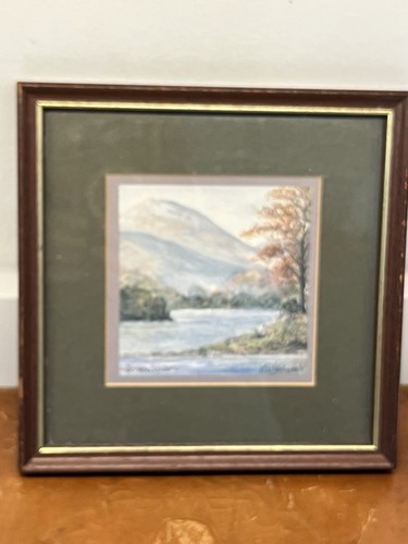 Vintage colin wiliiamson - colin,