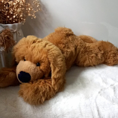Cute brown beige - cute, brown/beige