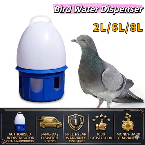 Automatic bird pigeons feeder - bird,