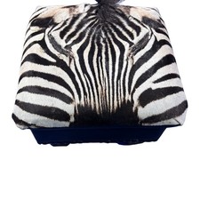 Real Zebra Skin Ottoman Cube 9