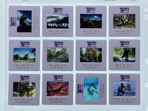 Walking with dinosaurs 35mm - dinosaurs,