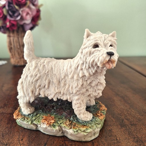 West highland white terrier - highland,