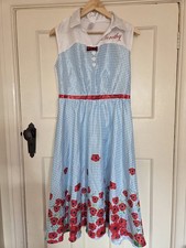 Adults Dorothy(Wizard of Oz)