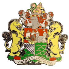 Bristol City Large Pin Badge