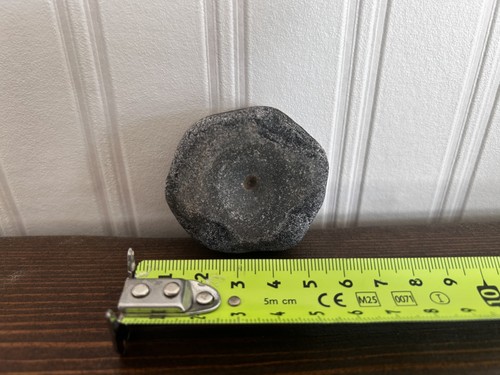 Ichthyosaur bone vertebrae - /,