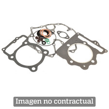 ARTEIN Clutch gasket CS 4900