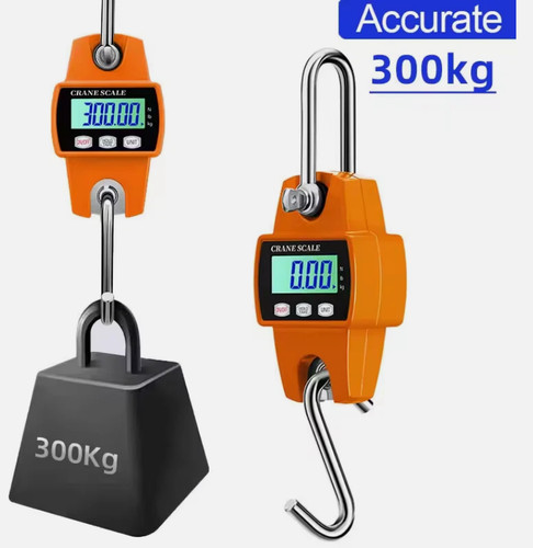 300kg mini crane scale - mini,