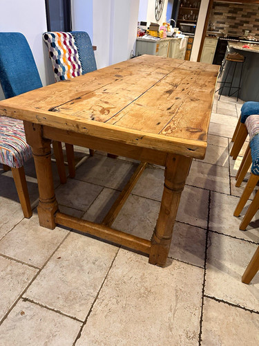 Large old pine - old,