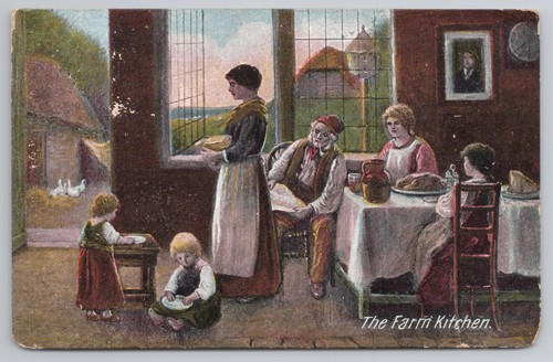 The farm kitchen domestic - farm,