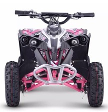 Used Renegade Ranger 1200W 48V