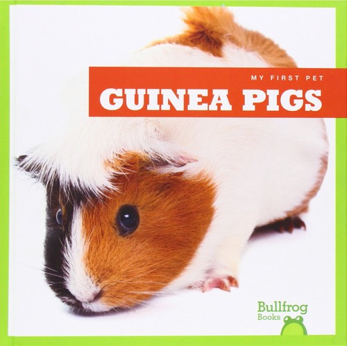 Guinea pigs - guinea,