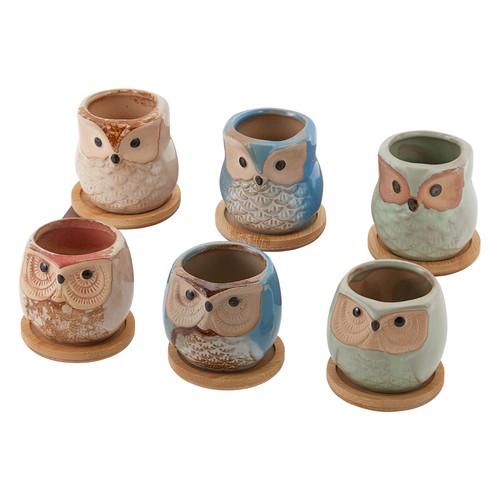 6pcs owl flowerpot - 6pcs, plant