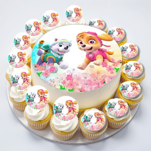 Paw patrol skye everest - paw, pups