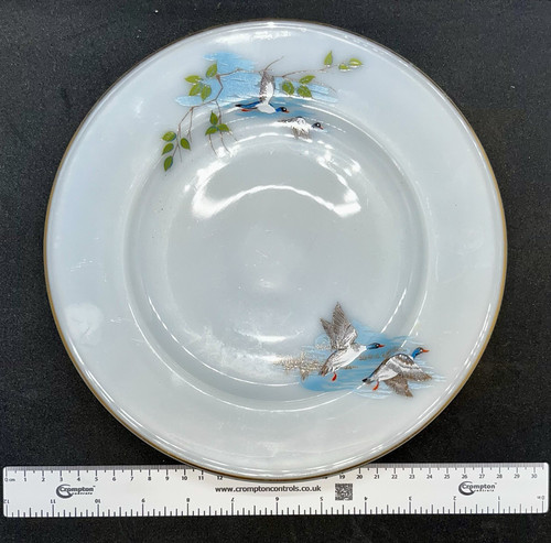 Jaj pyrex wildfowl - wildfowl, dinner